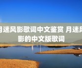 月迷风影歌词中文鉴赏 月迷风影的中文版歌词