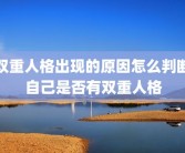 双重人格出现的原因怎么判断自己是否有双重人格