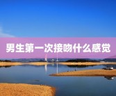 男生第一次接吻什么感觉