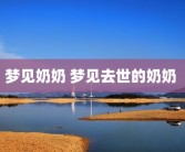 梦见奶奶 梦见去世的奶奶 