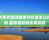 大家对雷昂那多评价是怎么样的 雷昂是好的还是坏的