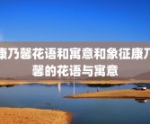康乃馨花语和寓意和象征康乃馨的花语与寓意