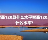智商120算什么水平智商120算什么水平?