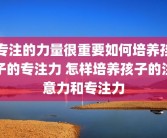 专注的力量很重要如何培养孩子的专注力 怎样培养孩子的注意力和专注力