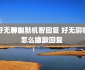 好无聊幽默机智回复 好无聊啊怎么幽默回复 
