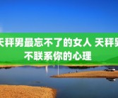 天秤男最忘不了的女人 天秤男不联系你的心理 