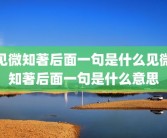见微知著后面一句是什么见微知著后面一句是什么意思