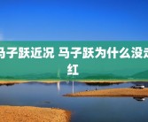 马子跃近况 马子跃为什么没走红 