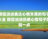 微信说说表达心情失落的句子大全 微信说说伤感心情句子简短一点