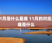 11月是什么星座 11月的对应星座是什么