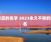 浪漫的名字 2023永久不换的网名 