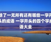除了一无所有还有哪些一字开头的成语 一字开头的四个字成语大全