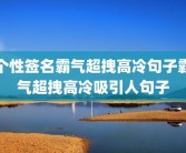 个性签名霸气超拽高冷句子霸气超拽高冷吸引人句子