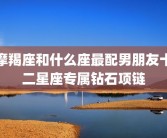 摩羯座和什么座最配男朋友十二星座专属钻石项链
