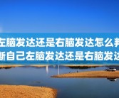 左脑发达还是右脑发达怎么判断自己左脑发达还是右脑发达