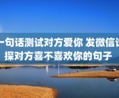 一句话测试对方爱你 发微信试探对方喜不喜欢你的句子 
