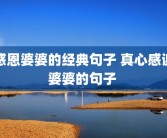 感恩婆婆的经典句子 真心感谢婆婆的句子 