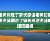 老师调走了家长感谢老师的话语老师调走了家长感谢老师的话语简短