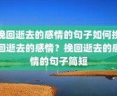 挽回逝去的感情的句子如何挽回逝去的感情？挽回逝去的感情的句子简短