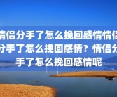 情侣分手了怎么挽回感情情侣分手了怎么挽回感情？情侣分手了怎么挽回感情呢