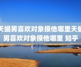 天蝎男喜欢对象摸他哪里天蝎男喜欢对象摸他哪里 知乎