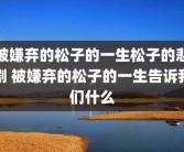 被嫌弃的松子的一生松子的悲剧 被嫌弃的松子的一生告诉我们什么