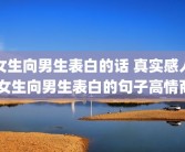 女生向男生表白的话 真实感人 女生向男生表白的句子高情商