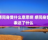 感同身受什么意思啊 感同身受表达了什么 