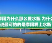 摩羯为什么那么爱水瓶 为什么说最可怕的是摩羯爱上水瓶 