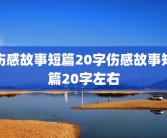 伤感故事短篇20字伤感故事短篇20字左右