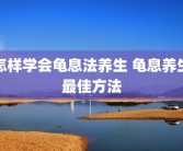 怎样学会龟息法养生 龟息养生最佳方法