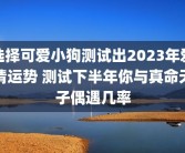 选择可爱小狗测试出2023年爱情运势 测试下半年你与真命天子偶遇几率