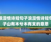 浪漫情诗短句子浪漫情诗短句子山有木兮木有支的意思