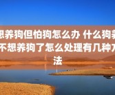 想养狗但怕狗怎么办 什么狗养 不想养狗了怎么处理有几种方法