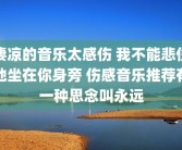 凄凉的音乐太感伤 我不能悲伤地坐在你身旁 伤感音乐推荐有一种思念叫永远
