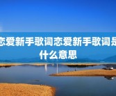 恋爱新手歌词恋爱新手歌词是什么意思
