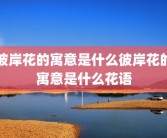 彼岸花的寓意是什么彼岸花的寓意是什么花语
