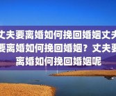 丈夫要离婚如何挽回婚姻丈夫要离婚如何挽回婚姻？丈夫要离婚如何挽回婚姻呢