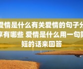爱情是什么有关爱情的句子分享有哪些 爱情是什么用一句简短的话来回答