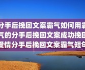 分手后挽回文案霸气如何用霸气的分手后挽回文案成功挽回爱情分手后挽回文案霸气短句