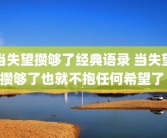 当失望攒够了经典语录 当失望攒够了也就不抱任何希望了 