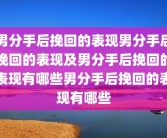 男分手后挽回的表现男分手后挽回的表现及男分手后挽回的表现有哪些男分手后挽回的表现有哪些