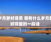 岁月静好意思 哪有什么岁月静好完整的一段话 