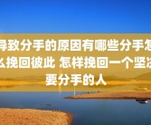 导致分手的原因有哪些分手怎么挽回彼此 怎样挽回一个坚决要分手的人