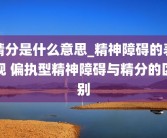 精分是什么意思_精神障碍的表现 偏执型精神障碍与精分的区别