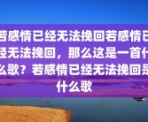若感情已经无法挽回若感情已经无法挽回，那么这是一首什么歌？若感情已经无法挽回是什么歌