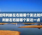 如何判断左右脑哪个发达如何判断左右脑哪个发达一点