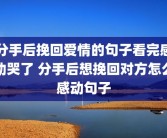 分手后挽回爱情的句子看完感动哭了 分手后想挽回对方怎么感动句子