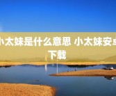 小太妹是什么意思 小太妹安卓下载 