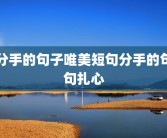 分手的句子唯美短句分手的句句扎心